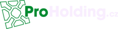 Logo Pro Holding